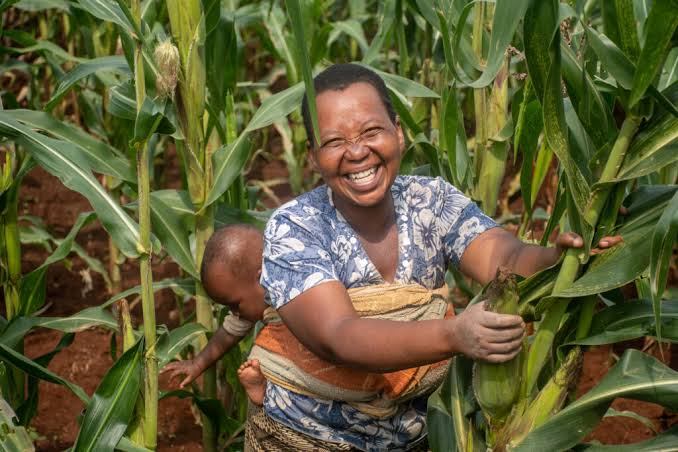 Activists, experts urge support for small holder farmers over industrial farming