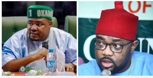 Agbese, Ugochinyere, 28 others swing parties in House of Reps