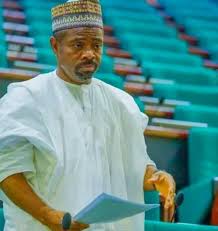 Rep. canvasses stakeholders’ support for traditional rulers’ council bill