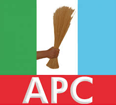 Group says re-electing Tinubu in 2027 is critical to national stability