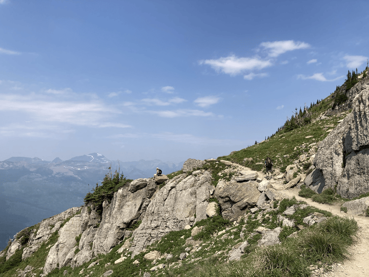 Section Of Highline Trail Remains Closed After Grizzly Bear Encounter Glacier High Line 