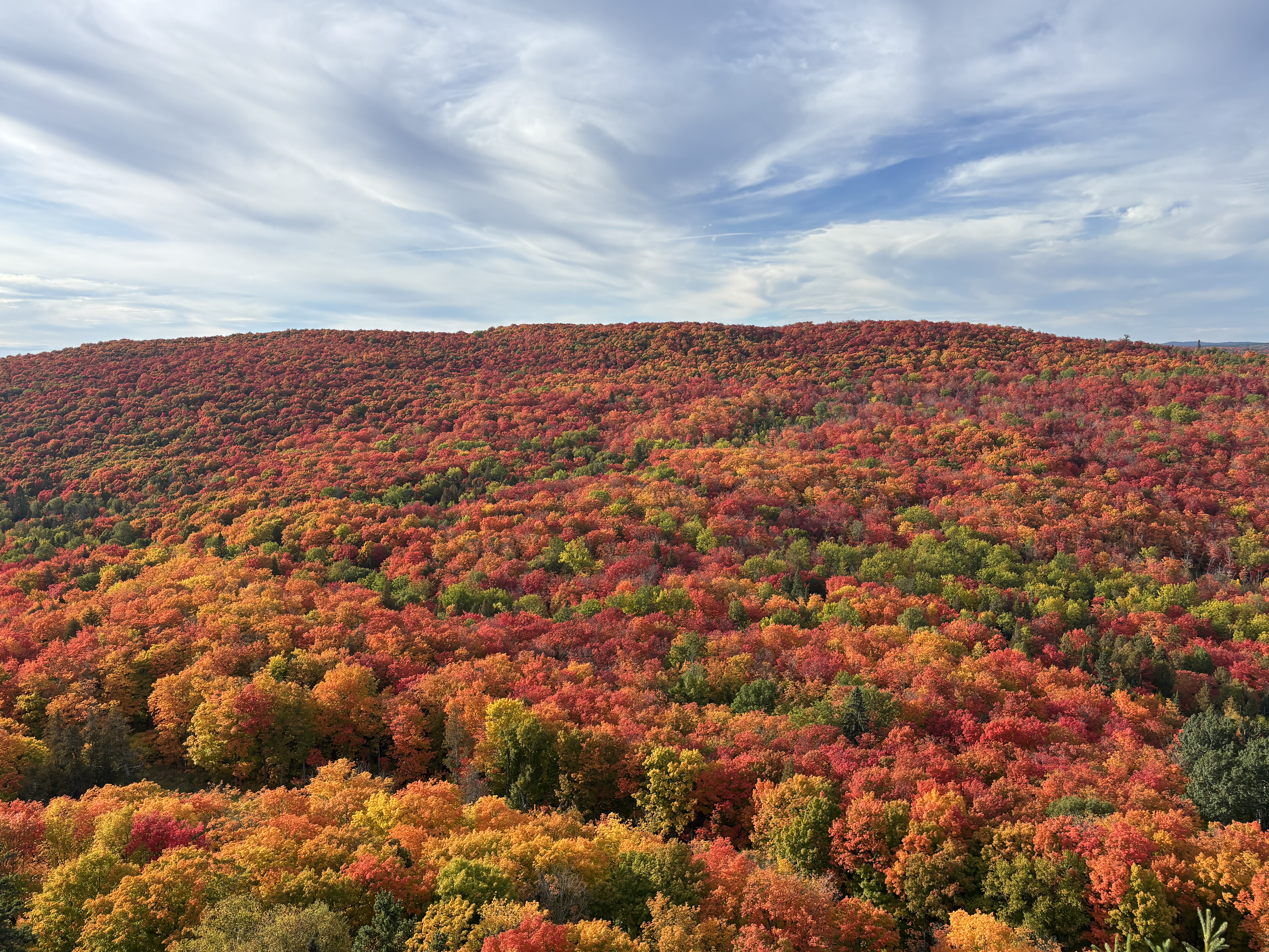 Honorary mention: Lutsen Mountains in Northern Minnesota. (Photo by Kayla Dougherty from Hibbing)