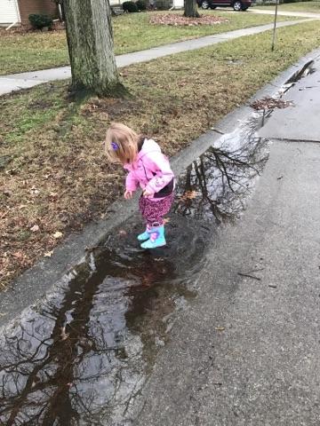 tmp_32452-243261428125576