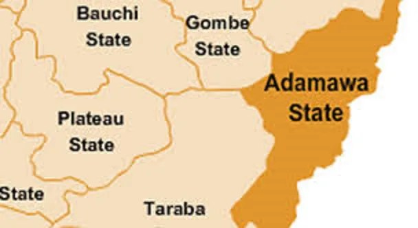 Between Empowerment And Handouts Daily Trust Adamawa State Map 