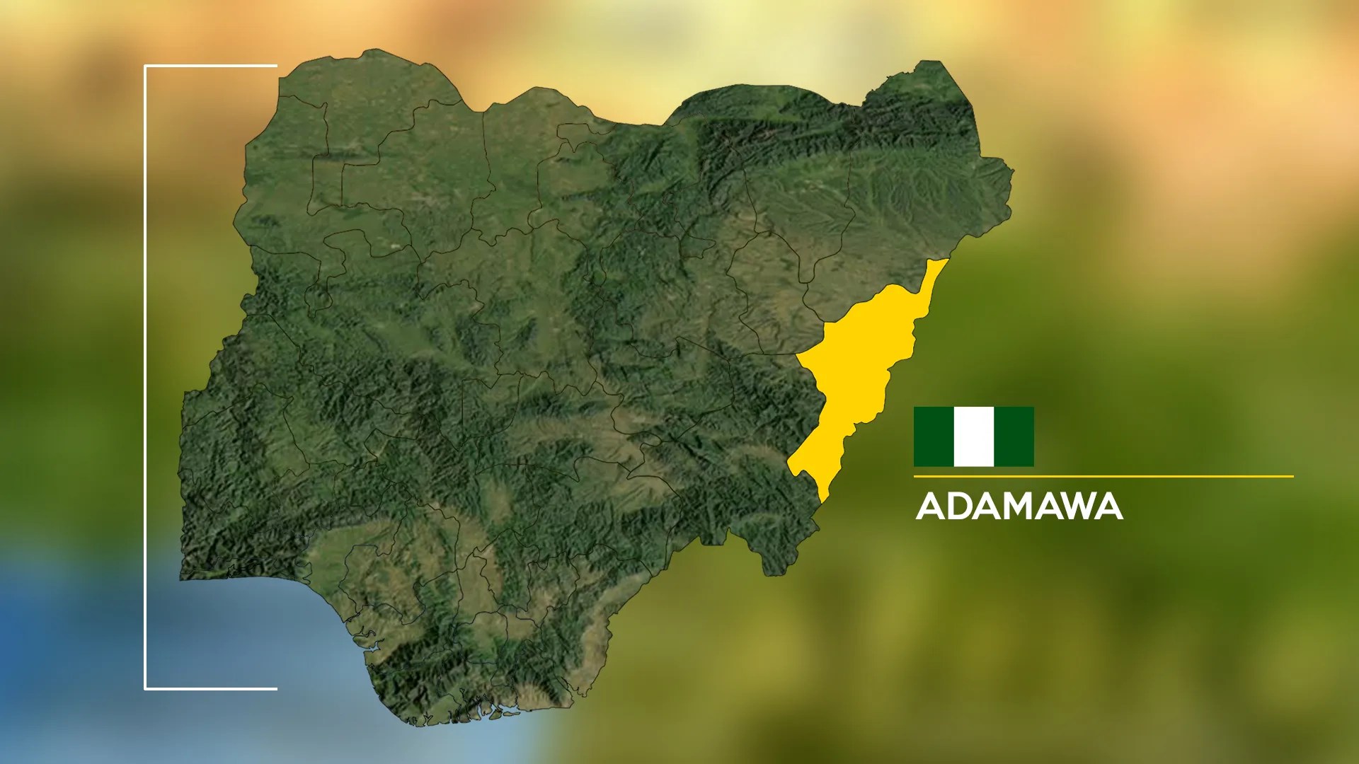 Adamawa Women Ask PTDF Boss To Resign Daily Trust ADAMAWA 