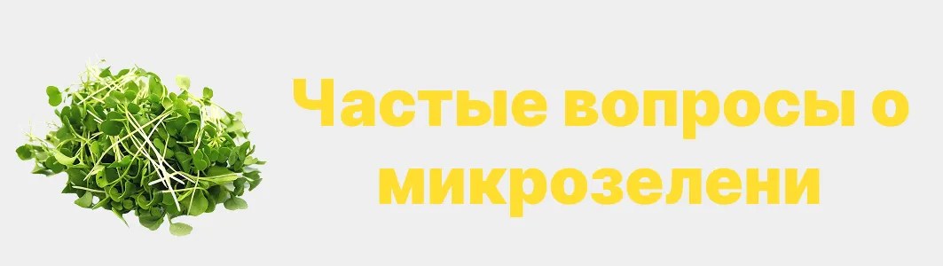 микрозелень