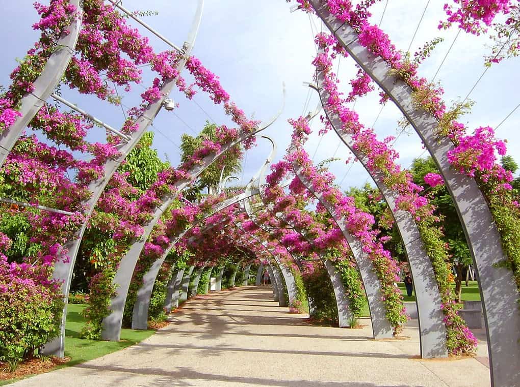 Guided tour of Brisbane, Australia from South Bank Parklands to New Farm