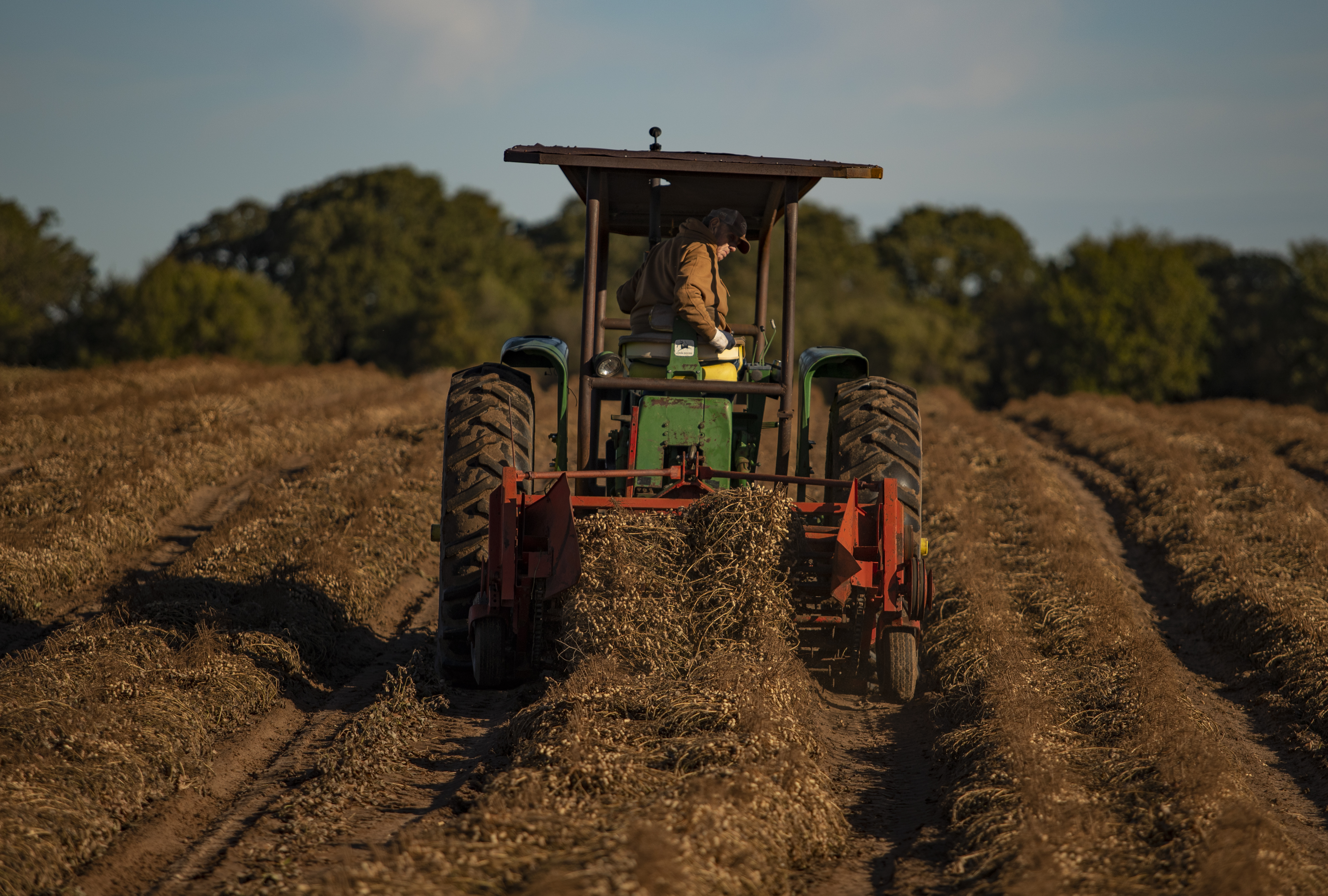 For the Love of Peanuts | The Daily Yonder