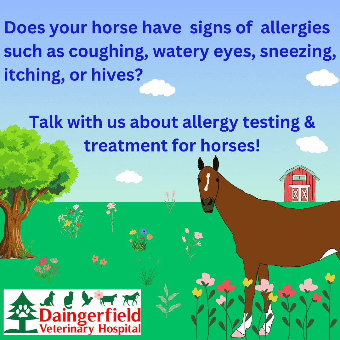HorseAllergyTestTxMay2023 comp