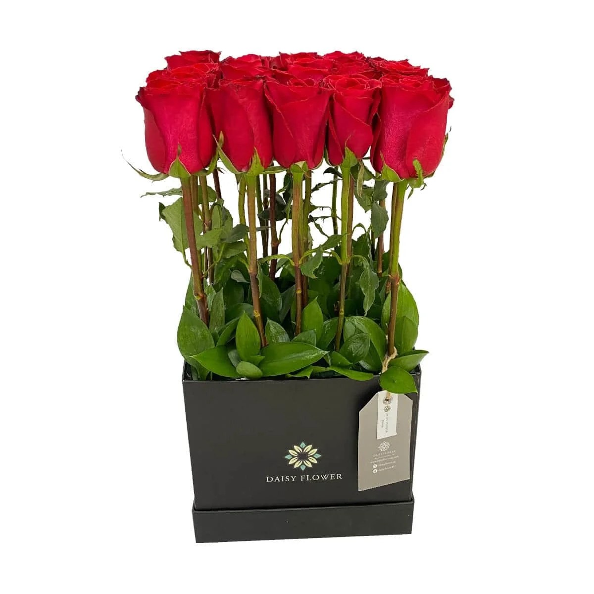 Deluxe 2 Daisy Flower