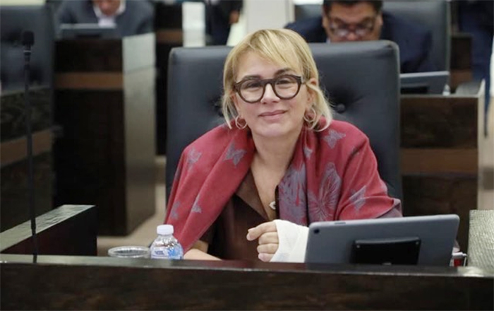 Diputadas plantean reforzar controles sobre las empresas de arrastre, hacer públicas las tarifas y garantizar que cuenten con los permisos necesarios para operar.