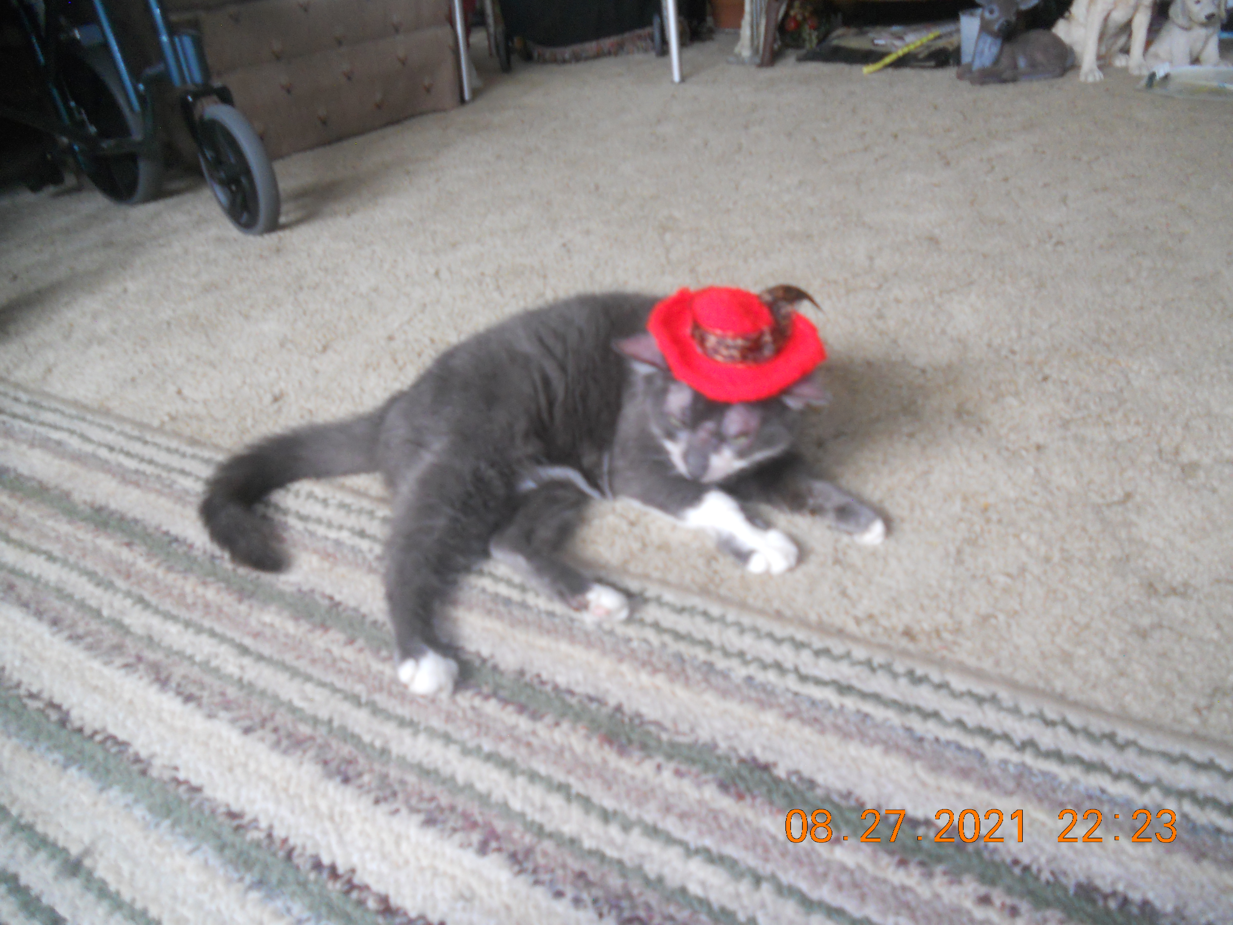 Featured Image -- 10969