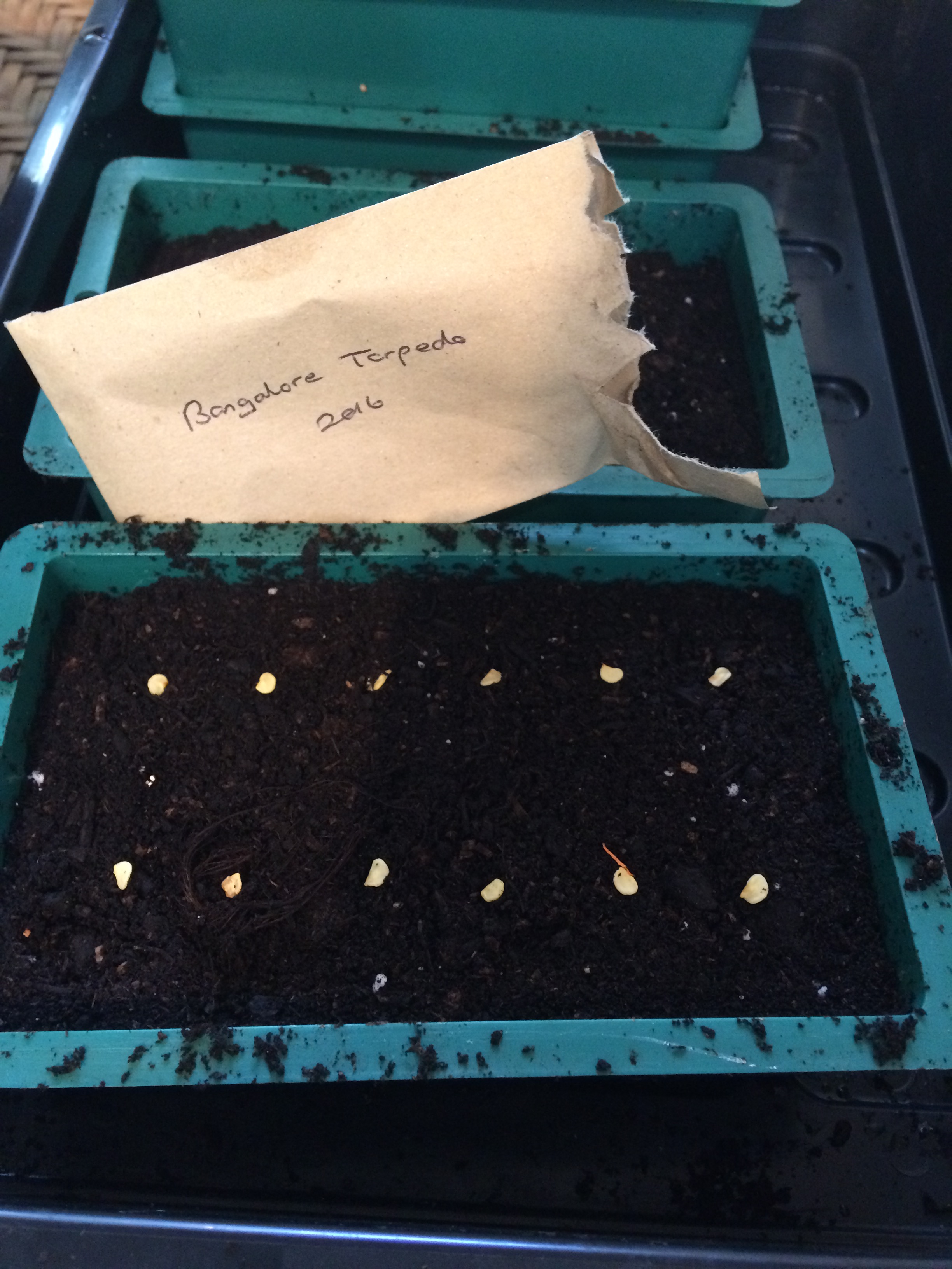 Own seed.