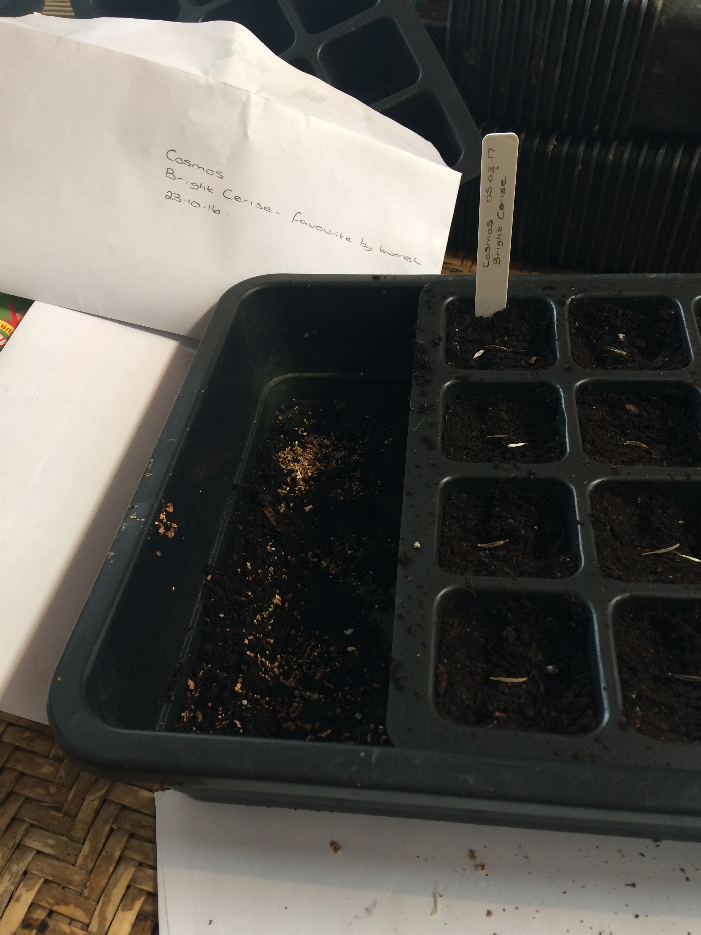 Own seed.