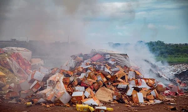 Kédougou : 9 tonnes de produits illicites incinérées pour 570 millions FCFA