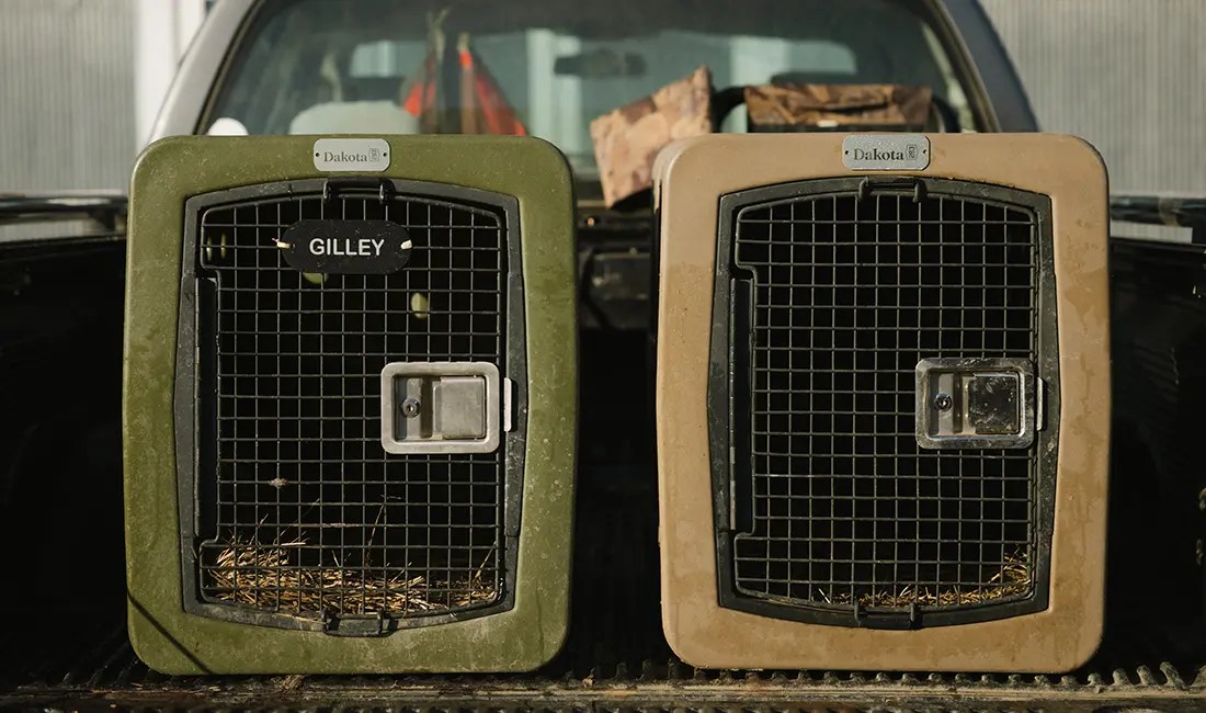 Two Dakota 283 kennels sit next to each other.