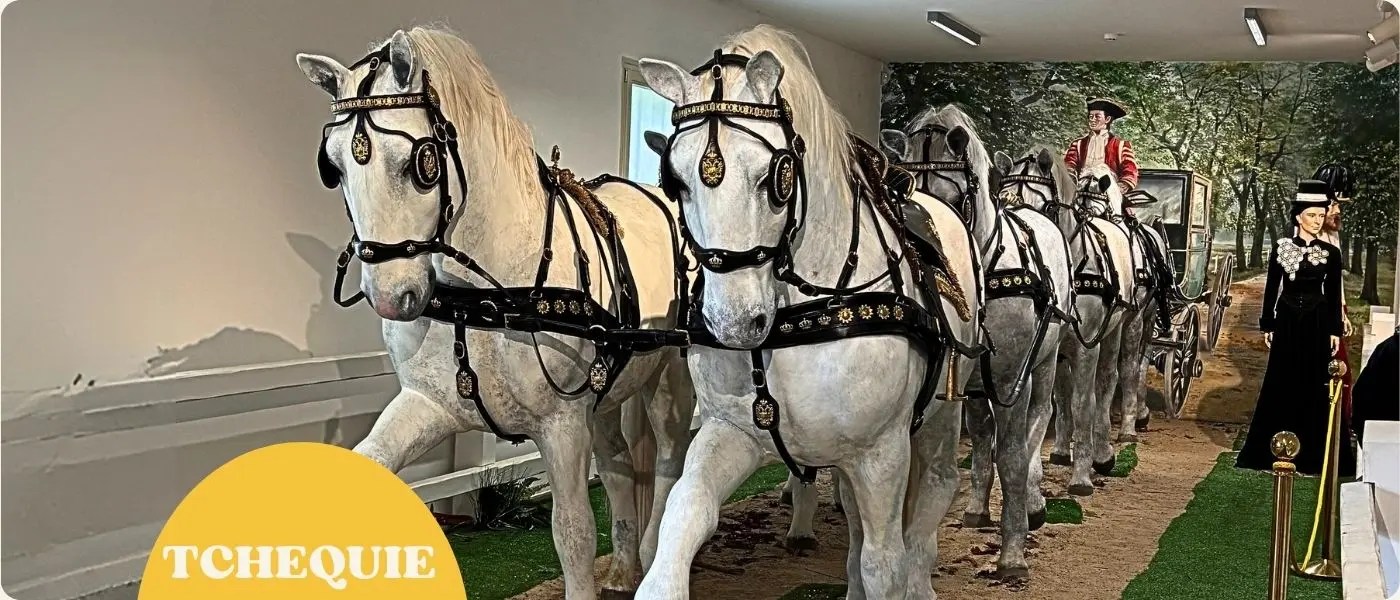 Immersion au Haras Royal de Kladruby nad Labem : sur les traces de Sissi et des chevaux d&rsquo;Empereurs