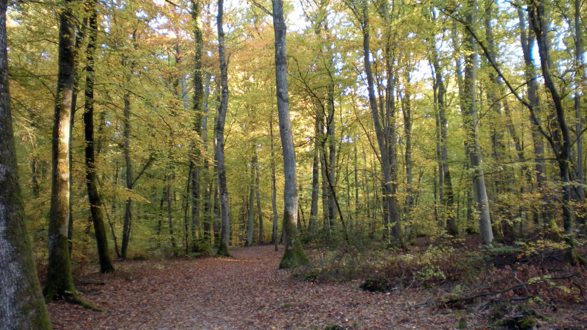 DSCN7543