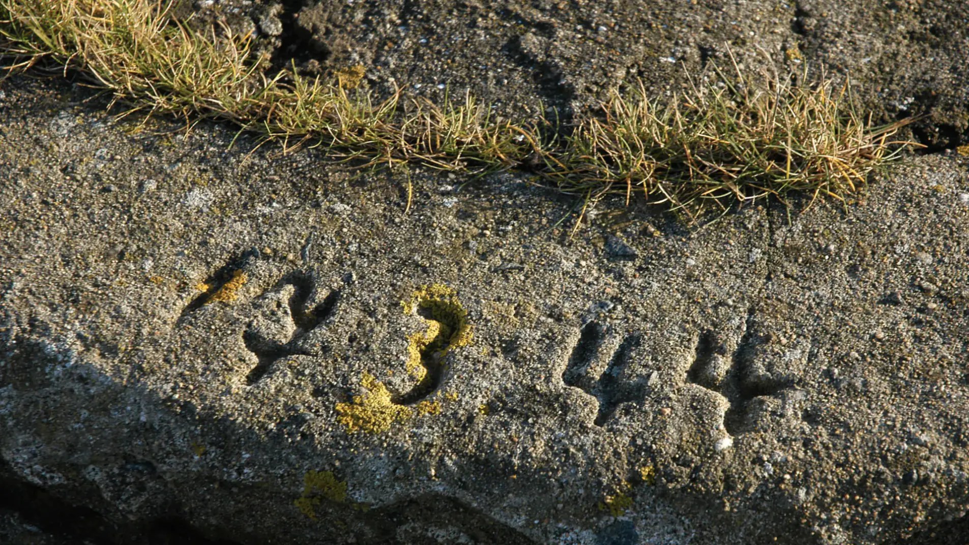 DSC_0476