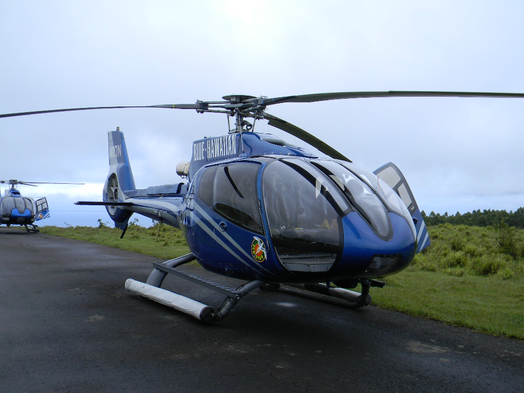 Spending time ziplining at botanical world adventures in hakalau. Pictures Released From My Zipine Trip With Kapohokine Three Months Before The Death At Honoli I Mountain Outpost Hawaii News And Island Information