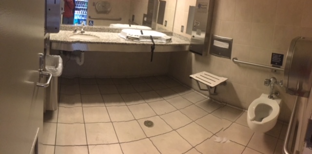 Restroom Detroit ADA family restrooms? Be like Detroit Metro Airport – Dan and Jennifer ...