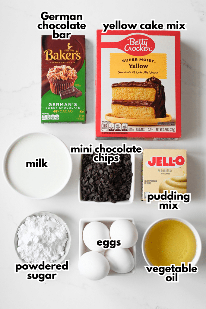 The ingredients needed to make a chocolate chip bundt cake, including a cake mix and a pudding mix, on a white background.