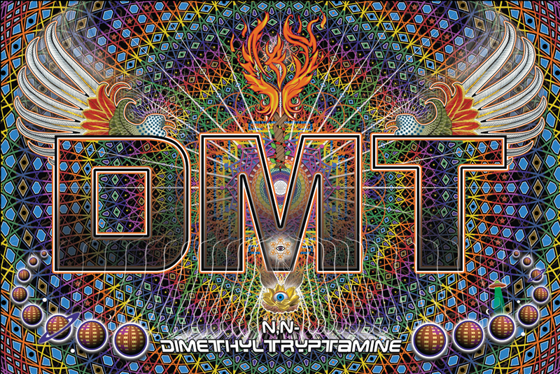 Or goods of a specific type, in the territory in which the pcp is established . DMT | DanceSafe