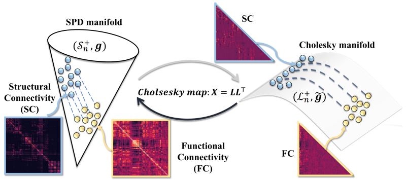 Github Dandy 233 Csoits - Vintage Art Collection - High Resolution Quality