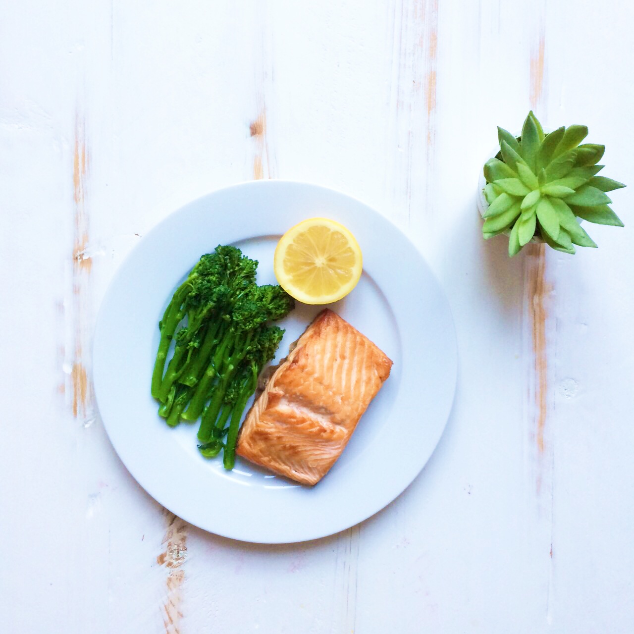 Why Diets do not Work