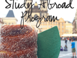 How To Pick A Study Abroad Program