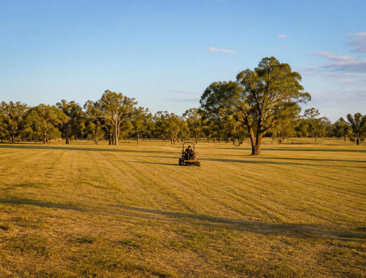 Zero-turn commercial slashing across Mudgee acreage