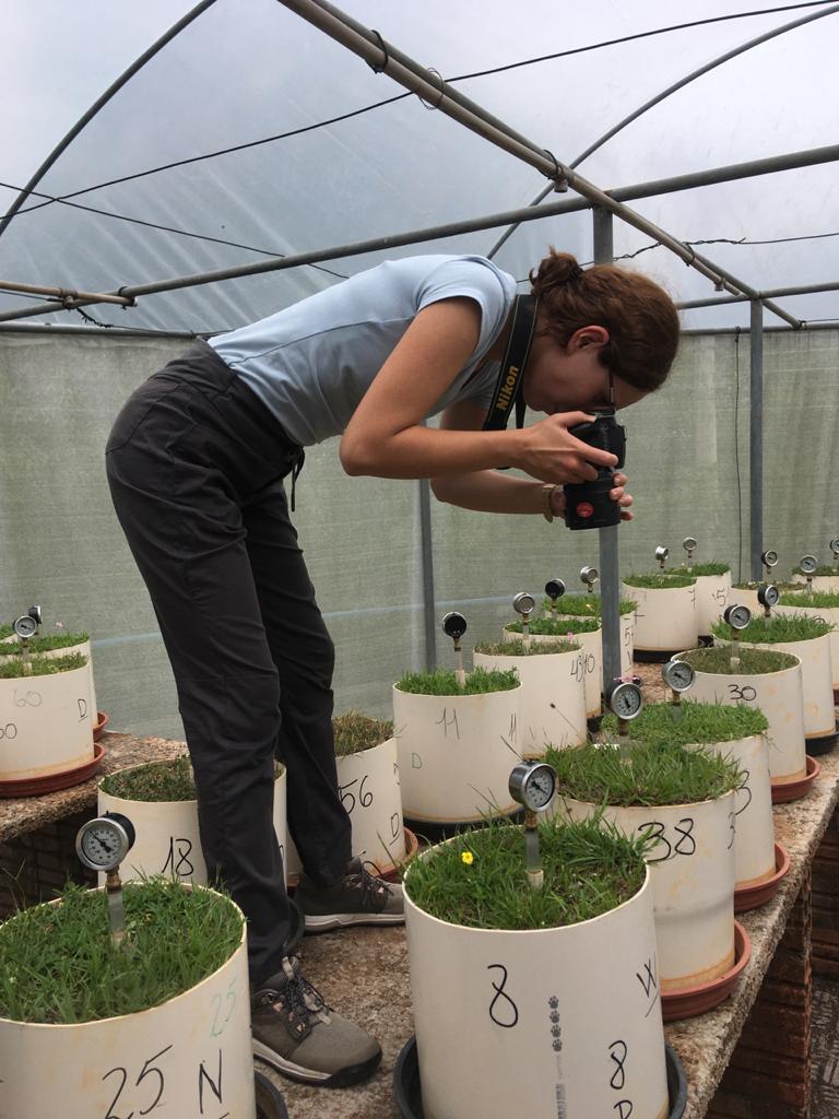 About Me Daniela Hoss Phd She Her - Download Modern Ocean Art | HD