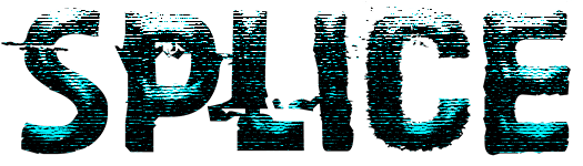 Splice
