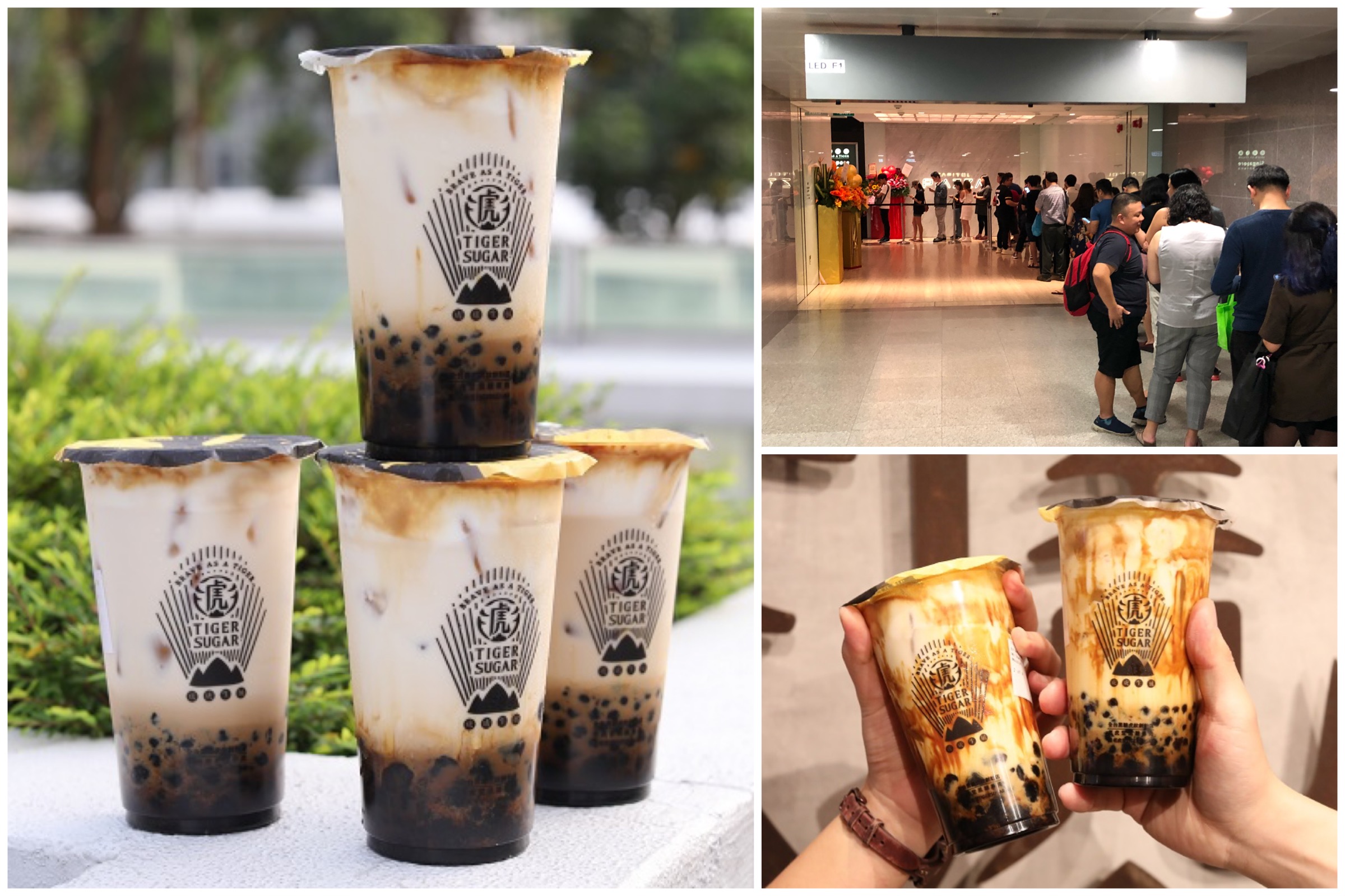 Tiger Sugar Singapore Popular Brown Sugar Milk Shop At