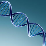 Cancer Immunology