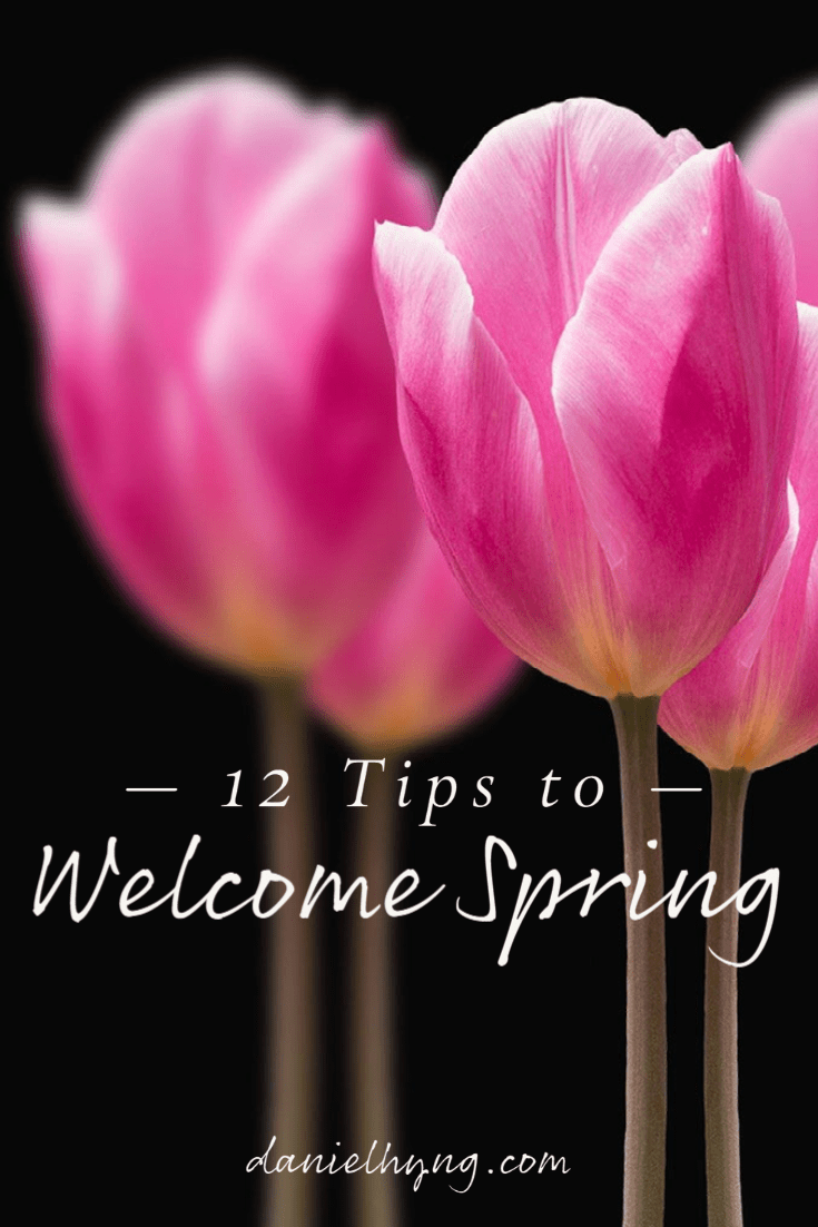 Welcoming Springtime to renew our Energy • Daniel Ng