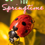 89 Blog Ideas For Springtime