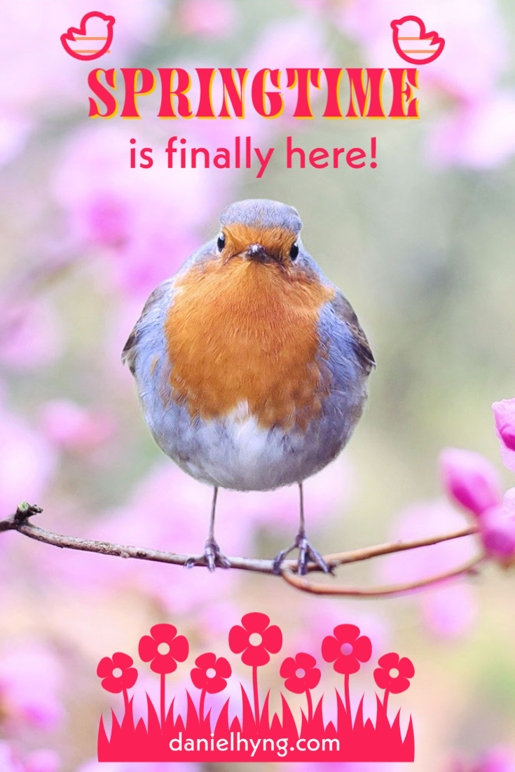 Welcoming Springtime to renew our Energy • Daniel Ng