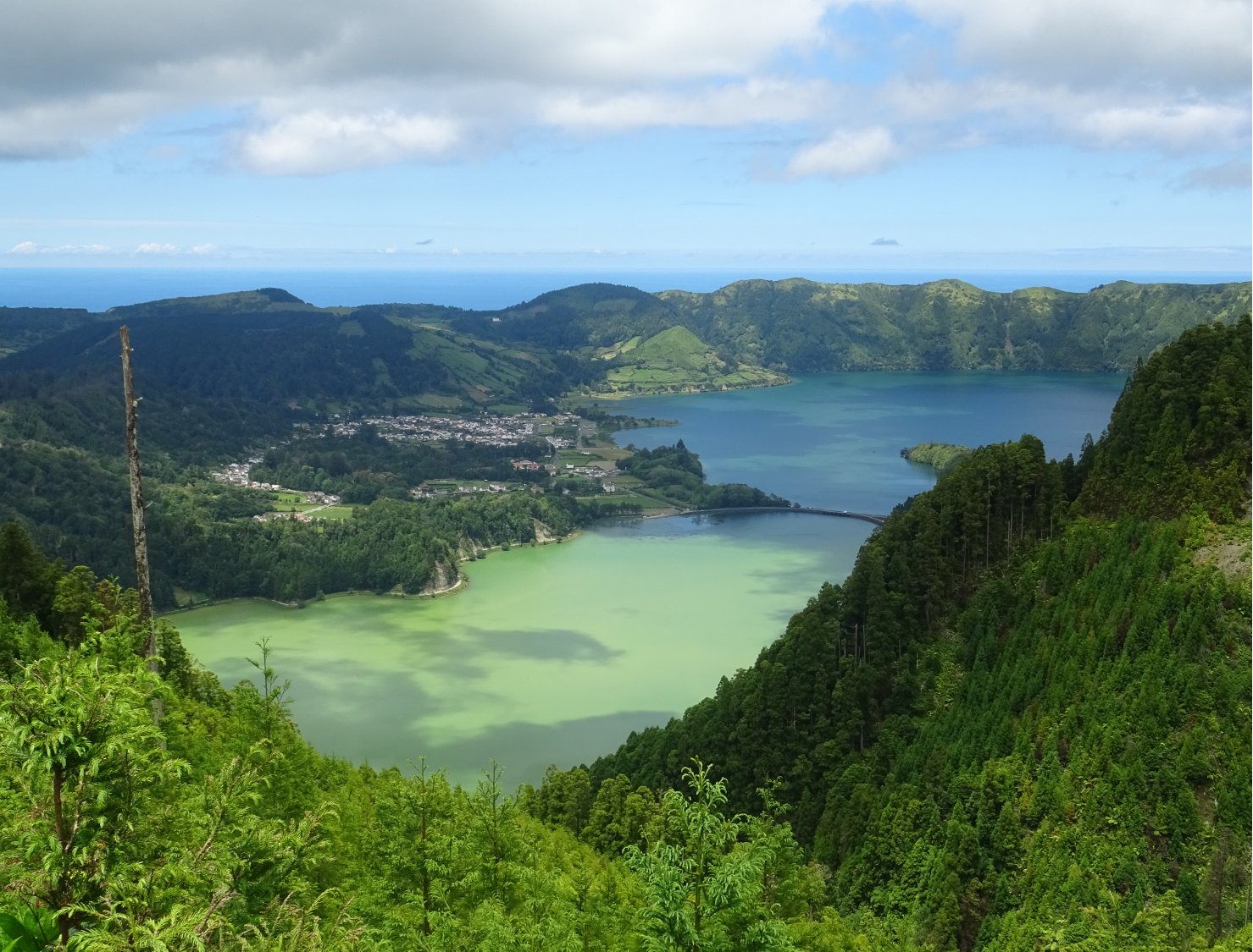 Azores Fieldwork 2022