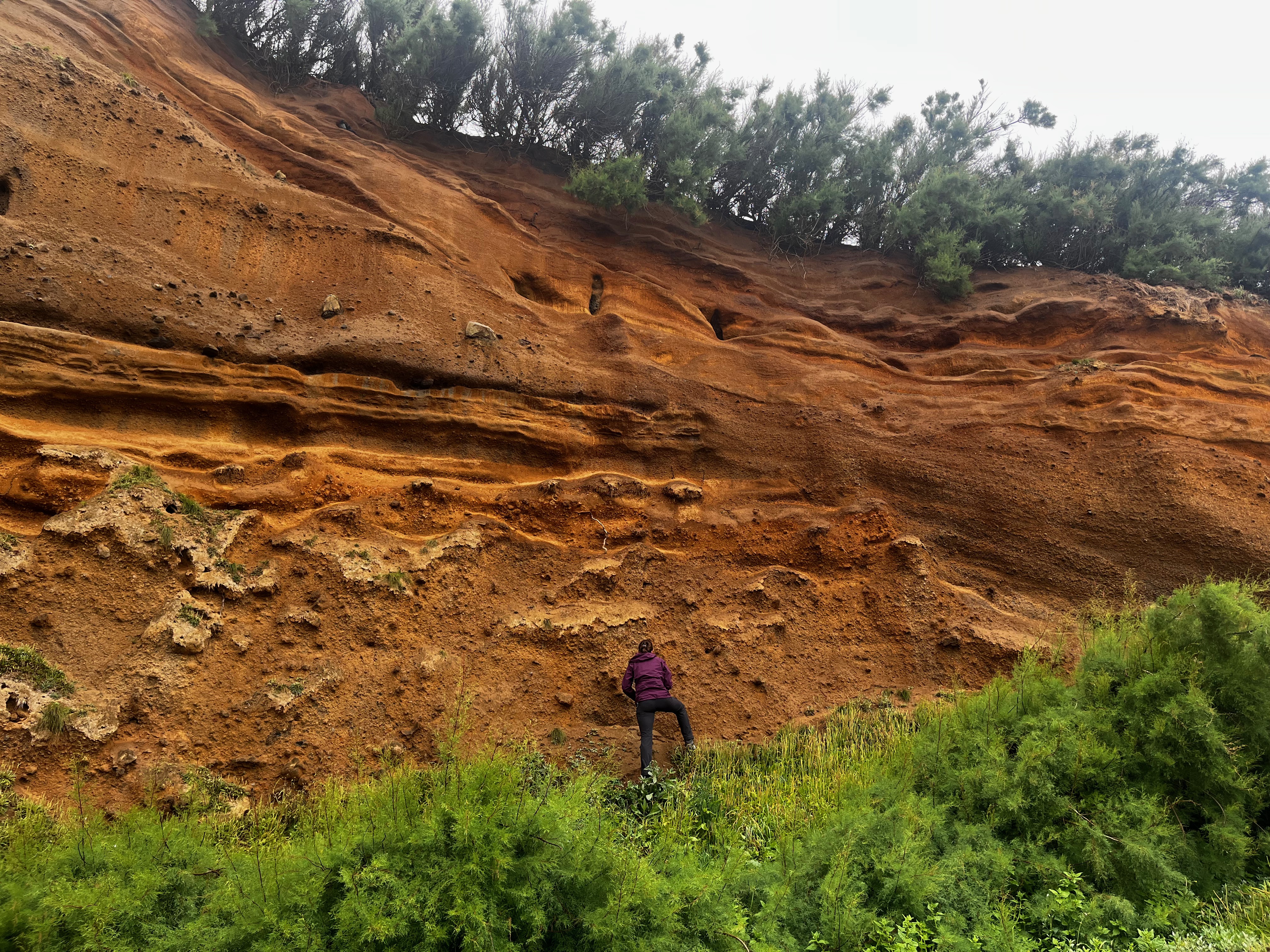 A volcanic outcrop in the Azores