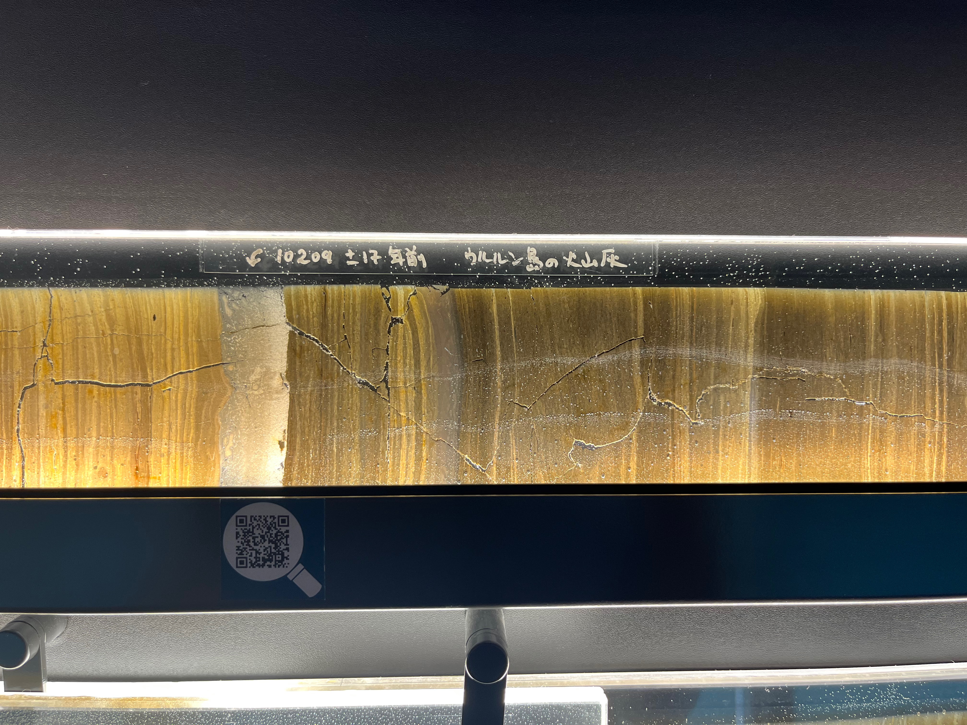 Thin section on display at the Suigetsu Varve Museum