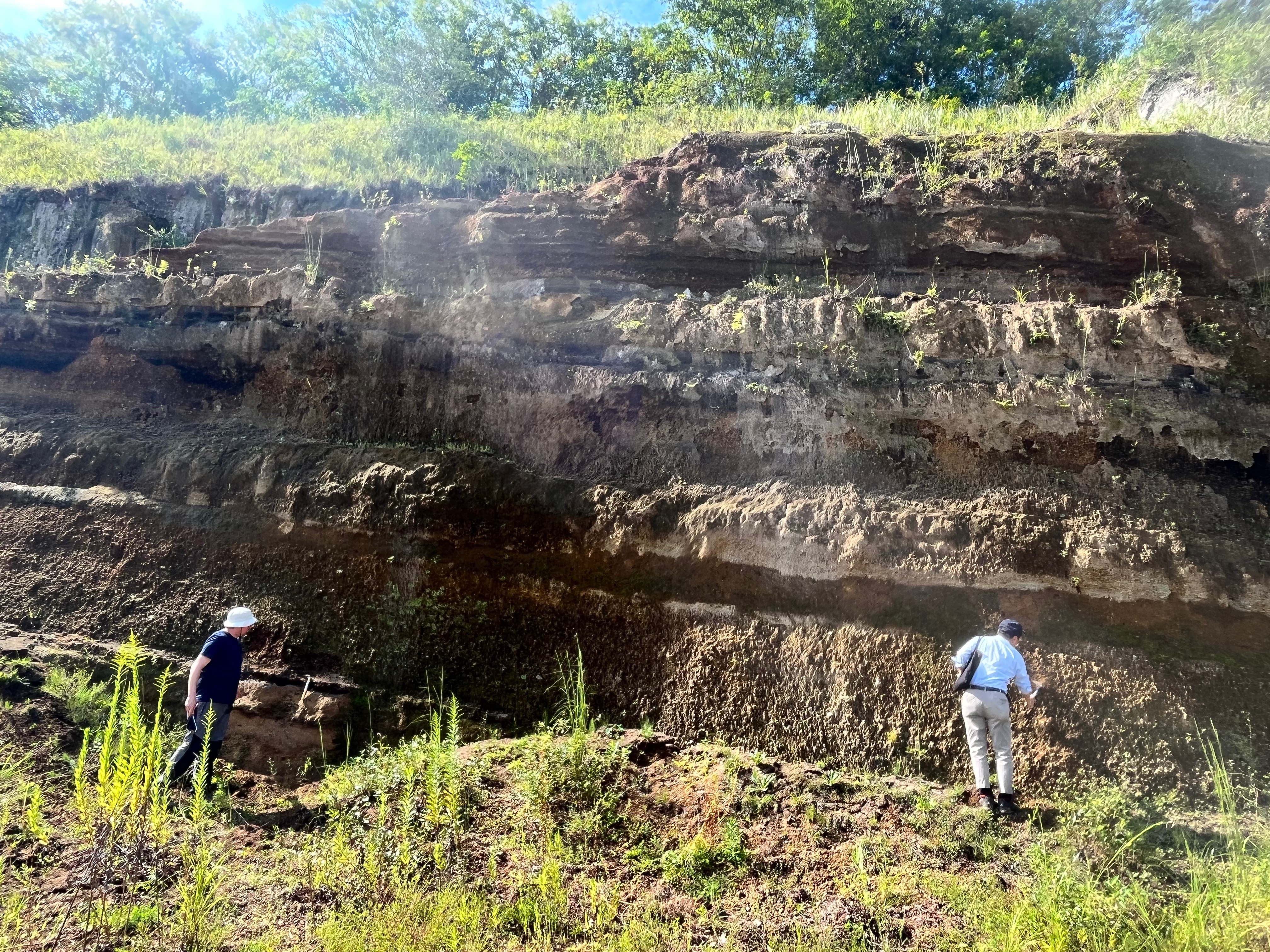 Outcrop in Kagoshima, Japan