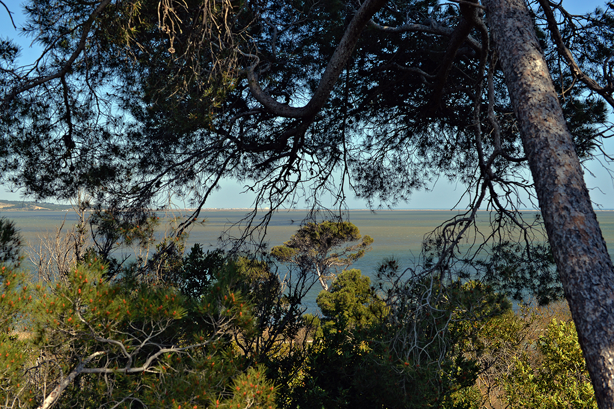 Île Sainte Lucie - Port La Nouvelle