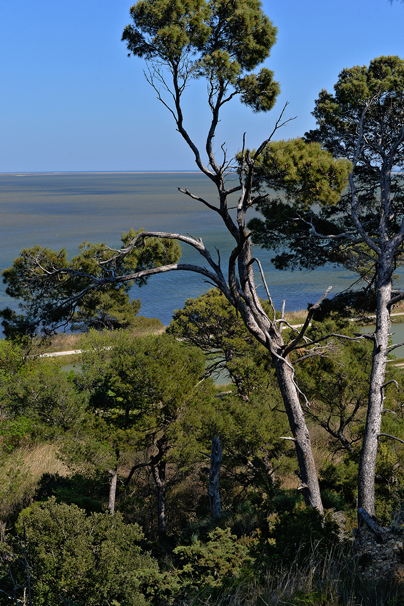 Île Sainte Lucie - Port La Nouvelle