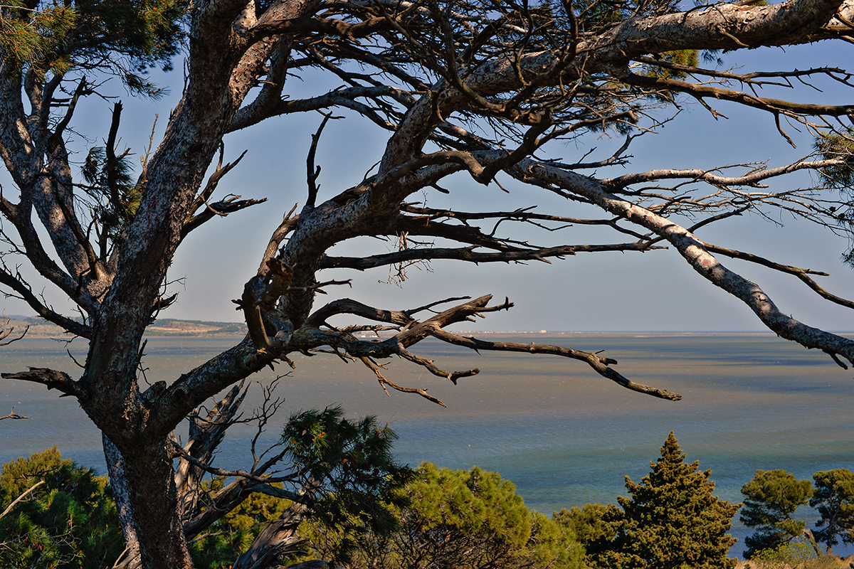 Île Sainte Lucie - Port La Nouvelle