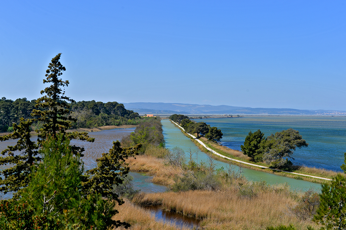 Île Sainte Lucie - Port La Nouvelle