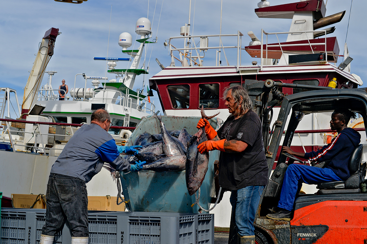 Douarnenez Finistère Bretagne