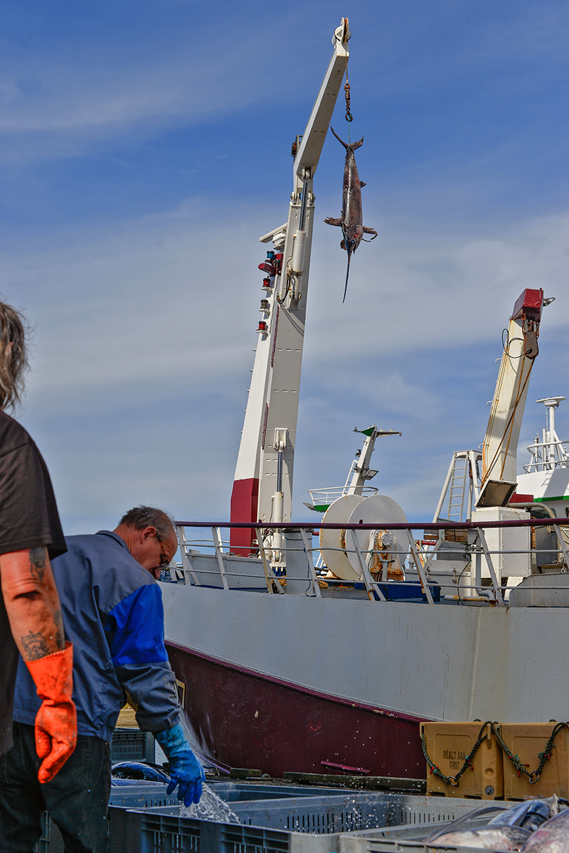 Douarnenez Finistère Bretagne