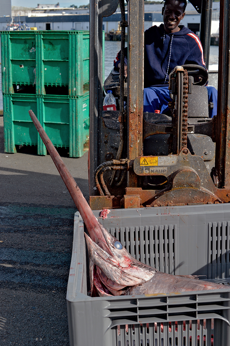 Douarnenez Finistère Bretagne