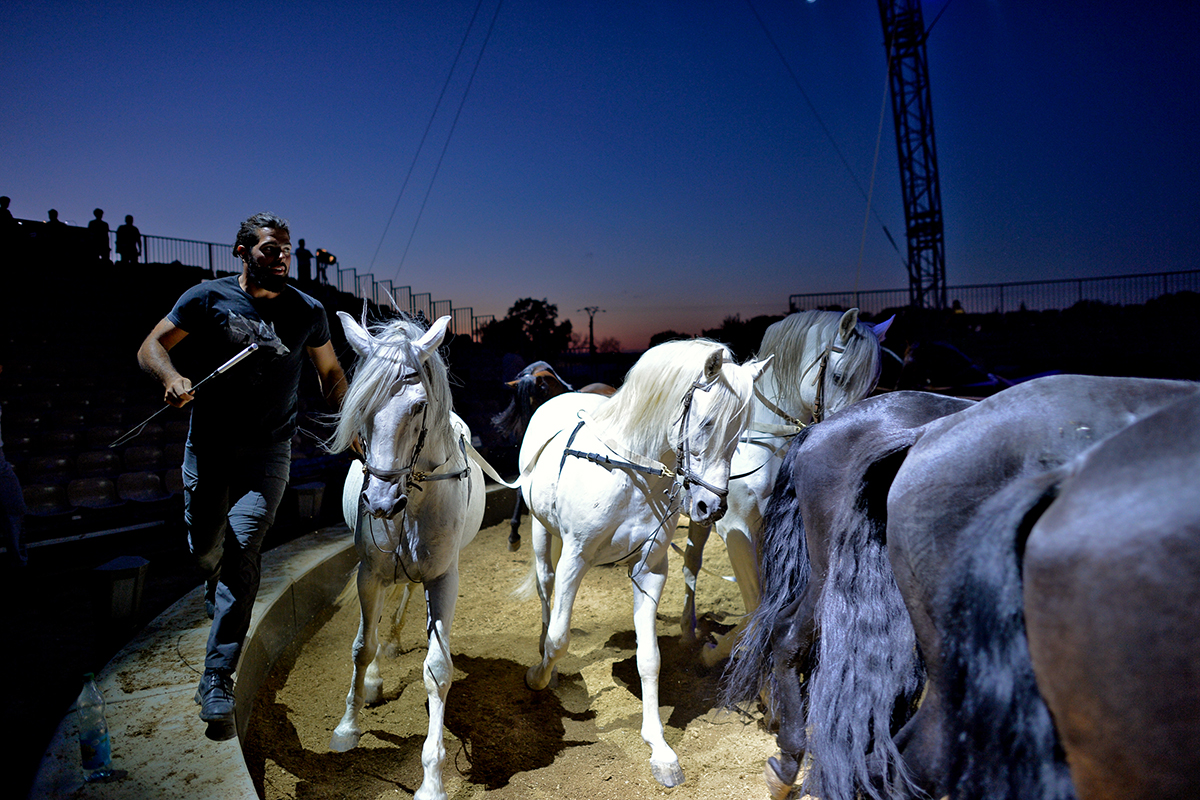 Cirque Gruss Béziers